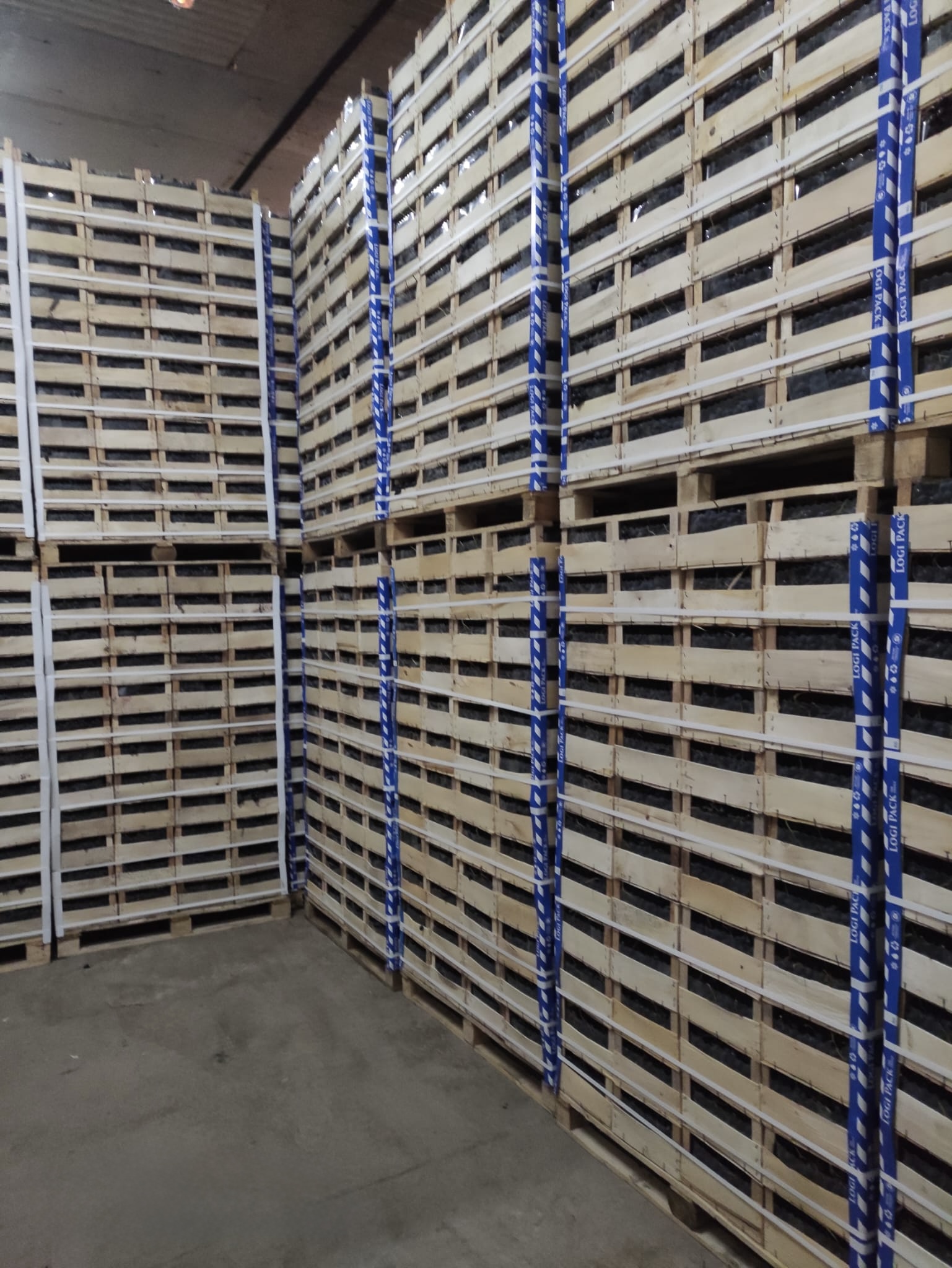 Refrigerated cold storage at the grower’s facility